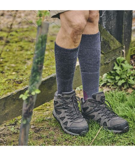 HJ Hall - Chaussettes Randonnée Homme Laine Épaisse Rembourrées Outdoor