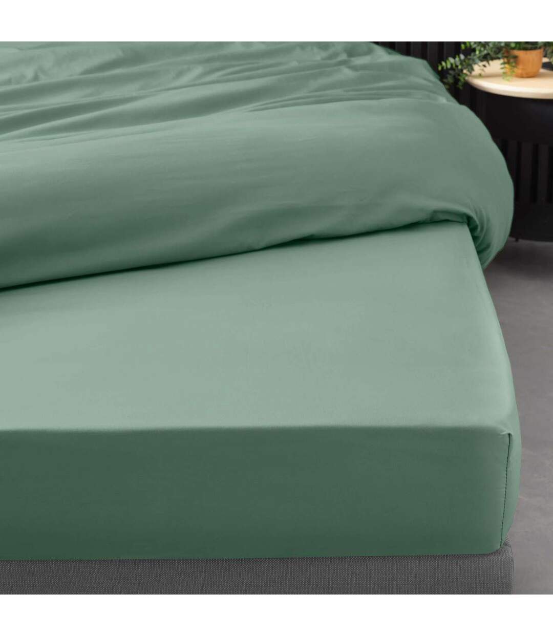 Drap Housse Percaline 160x200cm Tilleul-3