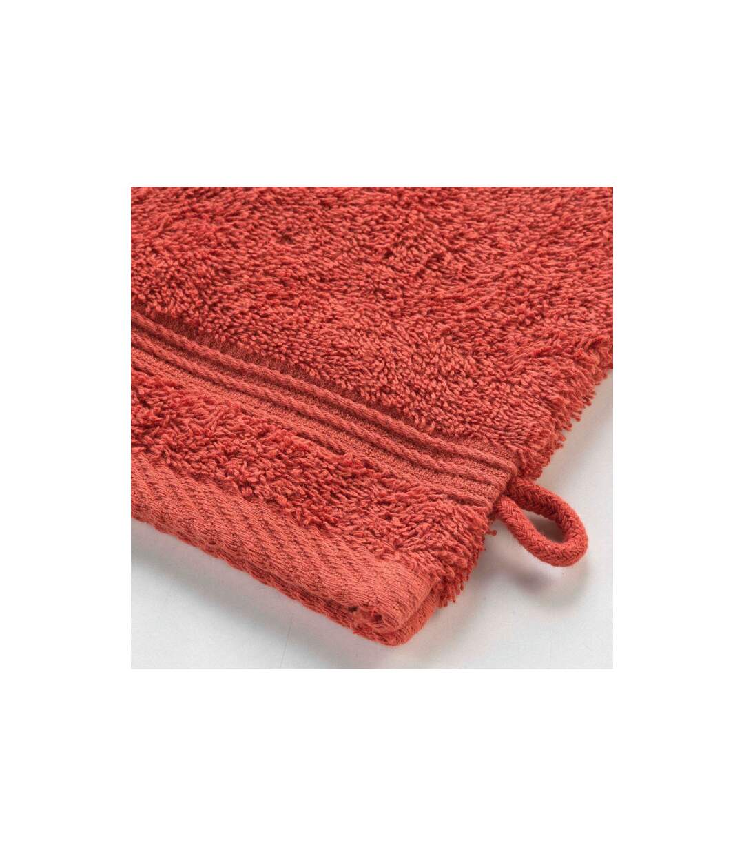 Lot de 2 Gants de Toilette Tendresse 15x21cm Terracotta-2