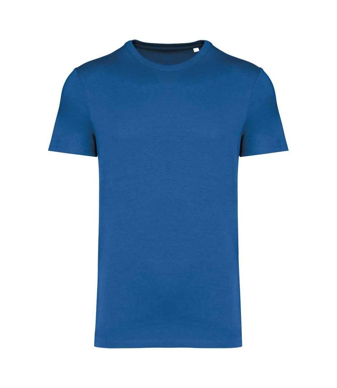 Unisex adult heavyweight slim t-shirt sea blue Native Spirit-1