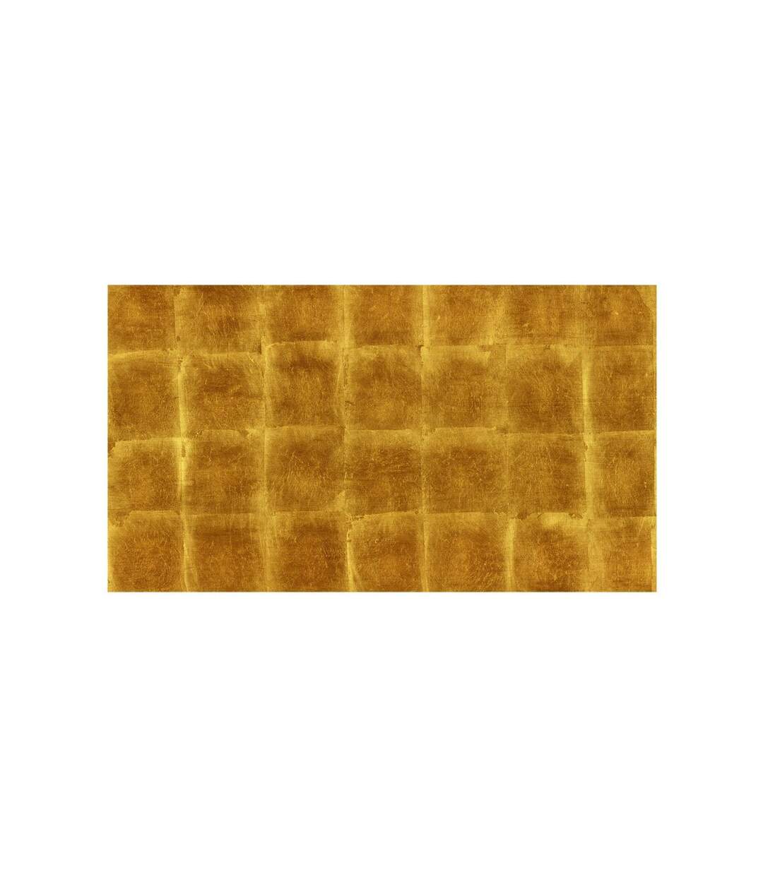 Papier Peint XXL Golden Cage 280x500cm-2