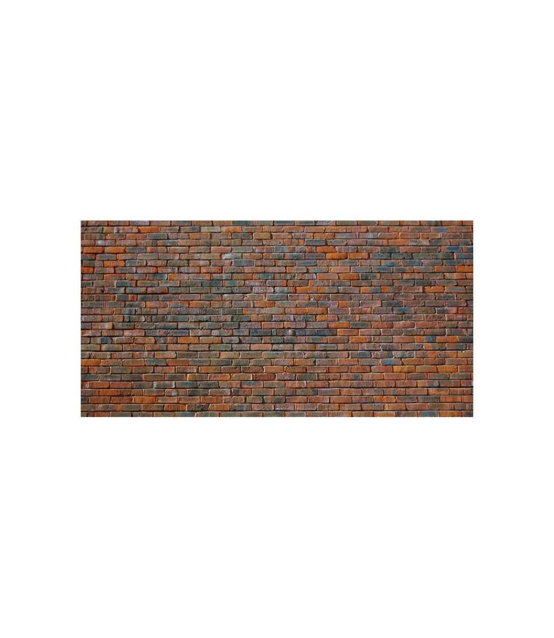 Papier Peint XXL Mur en Briques 270x550cm-2