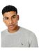 Pull Motif/style Logo Seabourne Homme Cendre Claire Chiné Jack Wills-3