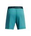 Mens Vanish Woven Graphic Shorts Blue Under Armour-2