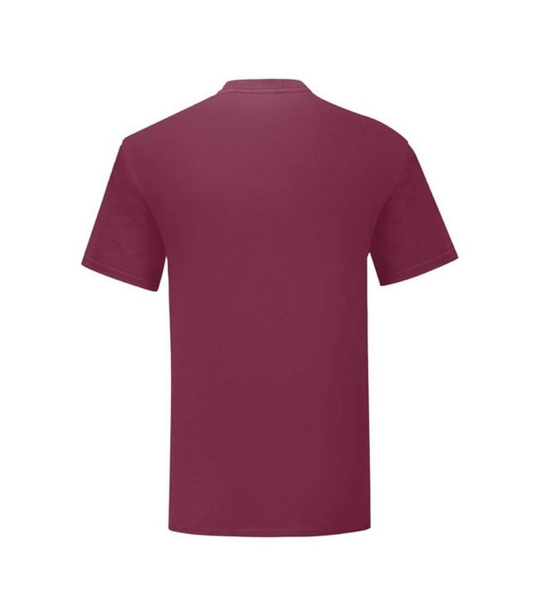 Fruit of the Loom Mens Iconic 150 T-Shirt (Burgundy) - UTBC4769-2