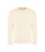 Sweat Adulte Vanille Awdis-1