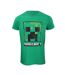 Vert Minecraft-2