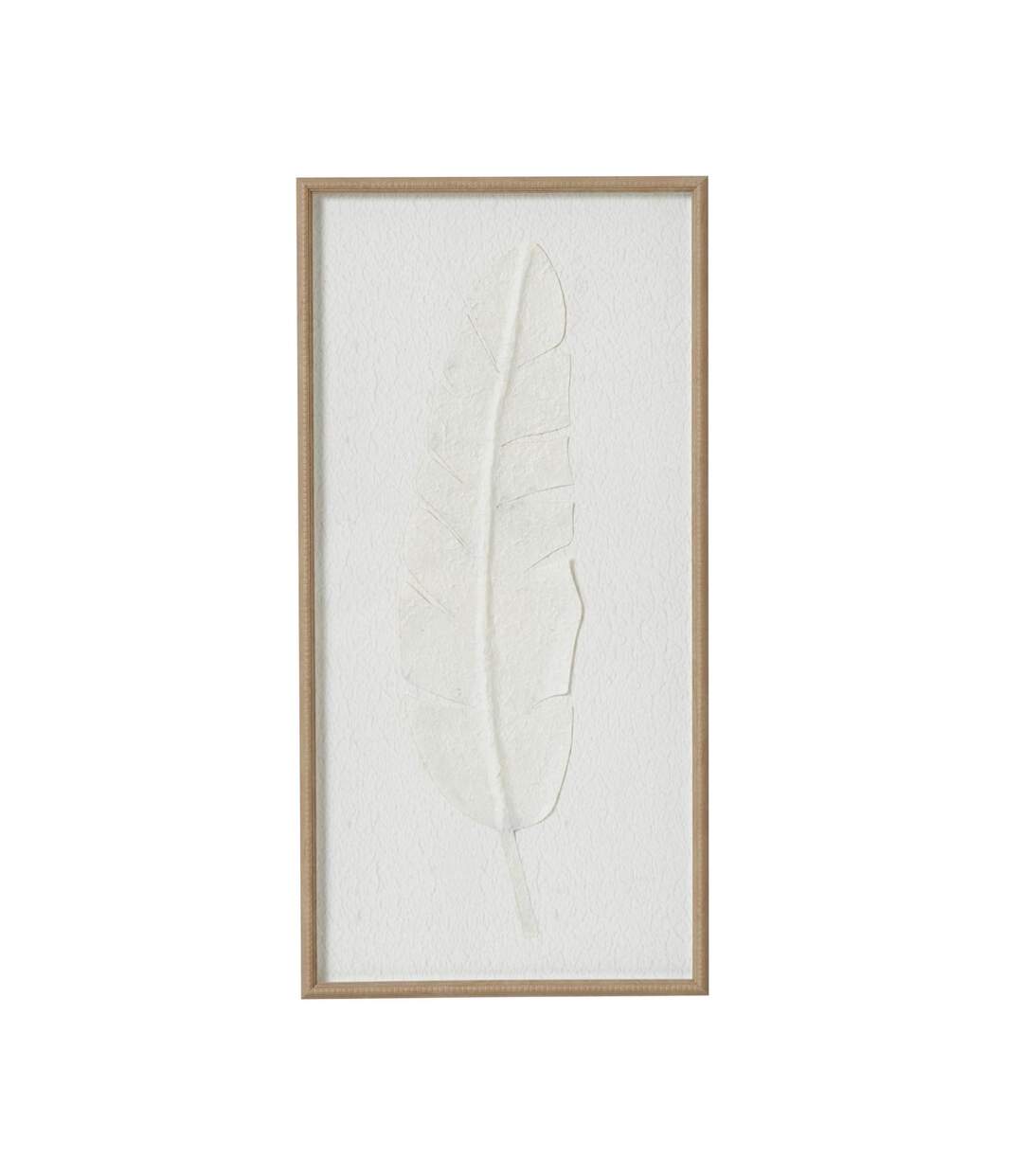 Feather framed wall art 80cm x 2cm x 40cm brown/white Hill Interiors-1