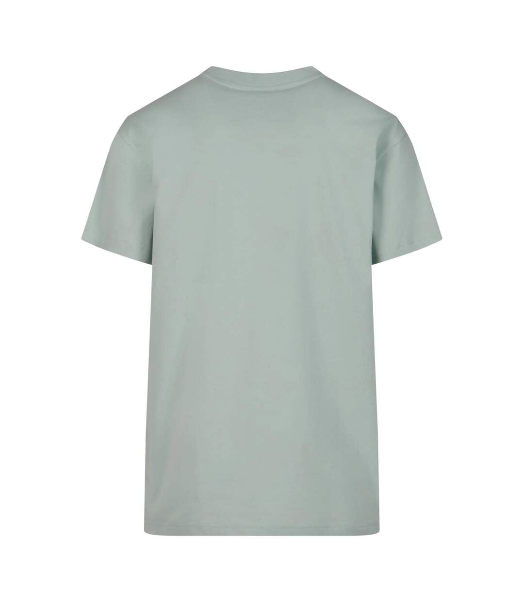 T-shirts Homme Menthe Givrée Blanc Urban Classics-3