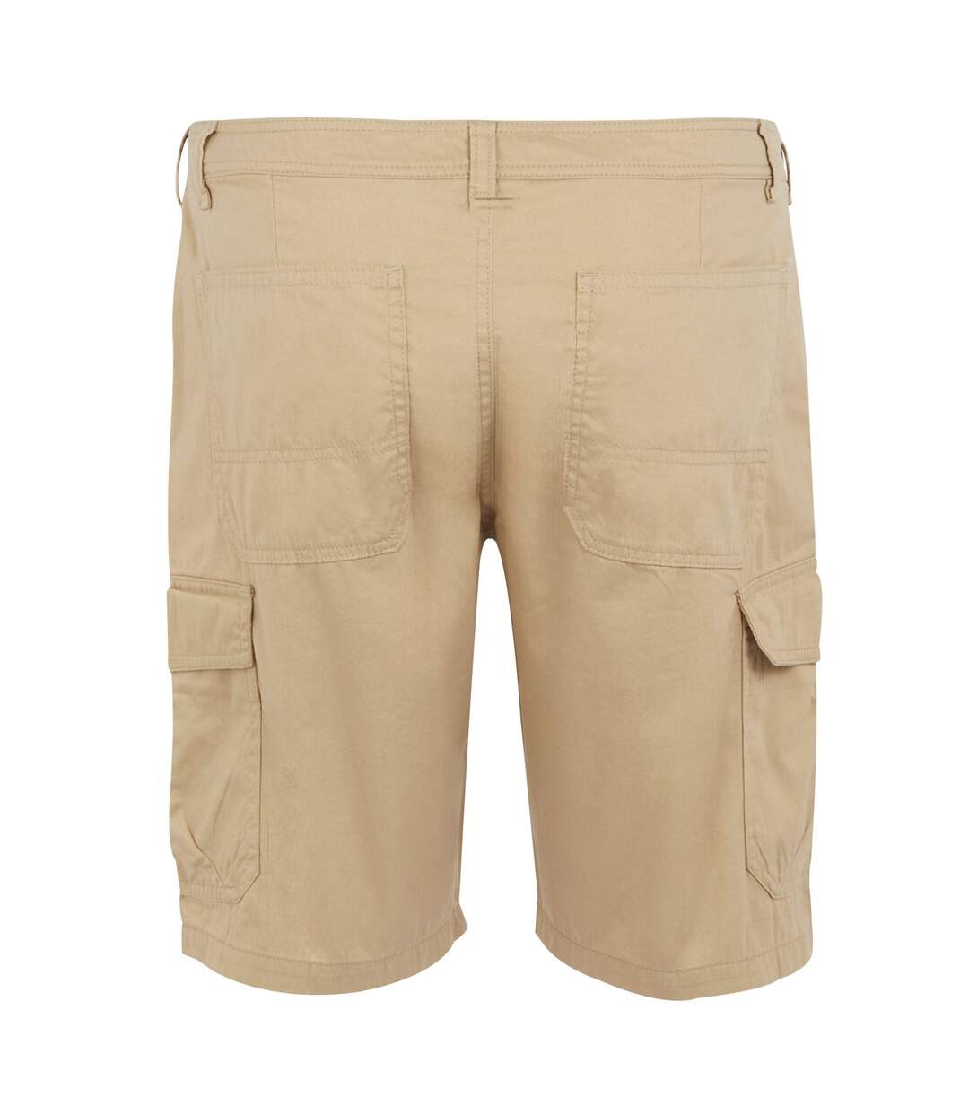 Short décontracté ruwan homme avoine Regatta-2