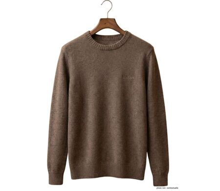 Pull Ras du Cou Homme Ledertys Marron en Maille Perlée