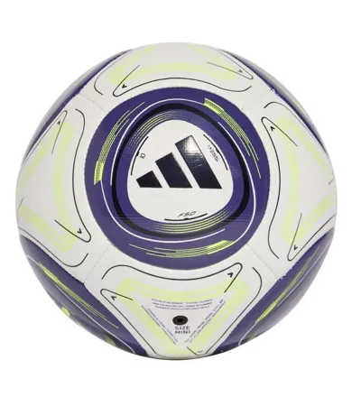 Mini Ballon De Foot Style Lionel Messi Taille 1 Bleu Blanc Vert Adidas