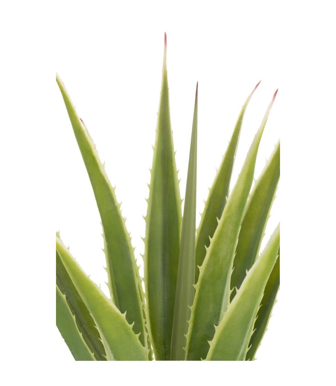 Plante Artificielle en Pot Agave 115cm Vert-2