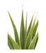 Plante Artificielle en Pot Agave 115cm Vert-2