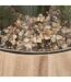 Terrarium en Verre & Bois Brito 17cm Transparent-3