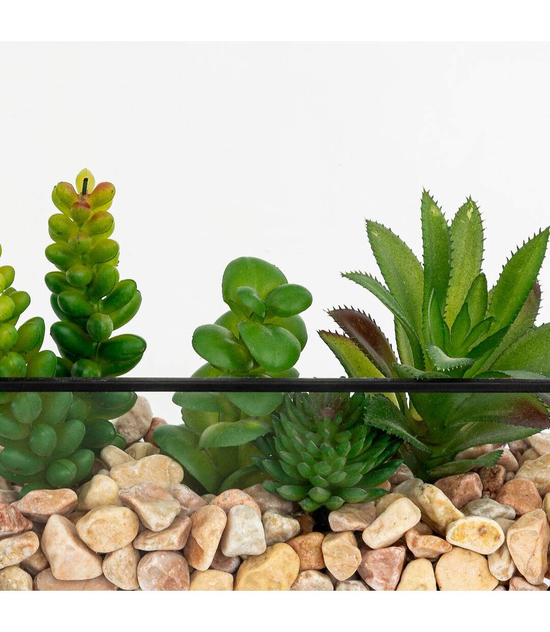 Terrarium Hexagonal en Verre Pia 20cm Noir-2