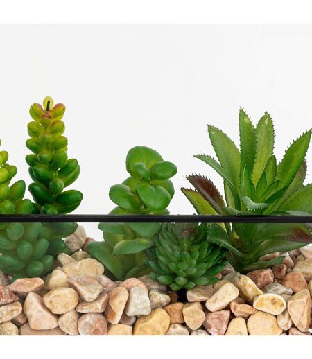 Terrarium Hexagonal en Verre Pia 20cm Noir