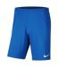 Short De Foot Park Homme Bleu Nike-1