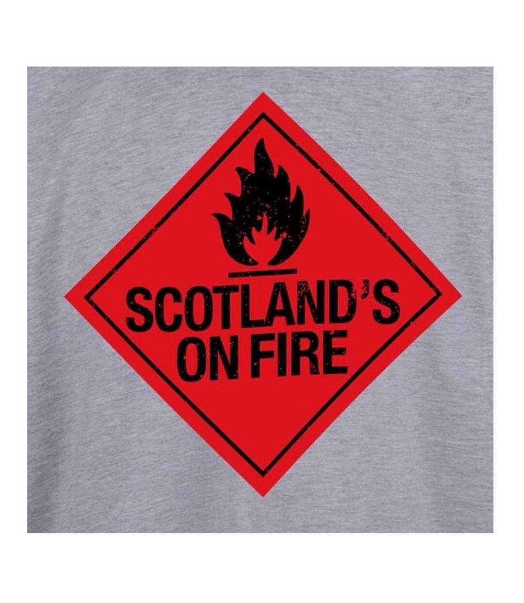 Mens Scotlands On Fire T-shirt Grey AWD-3