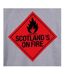 Mens Scotlands On Fire T-shirt Grey AWD-3