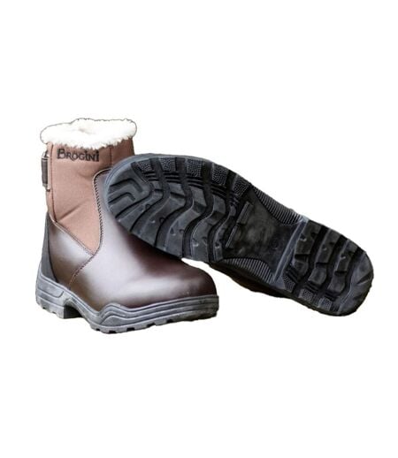 Bottines Buxton Sub Zero Adulte Marron Brogini