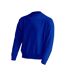 Sweat Adulte Bleu Roi JHK-1