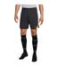 Unisex Adult Strike Liverpool Fc Football Shorts Grey Nike-3
