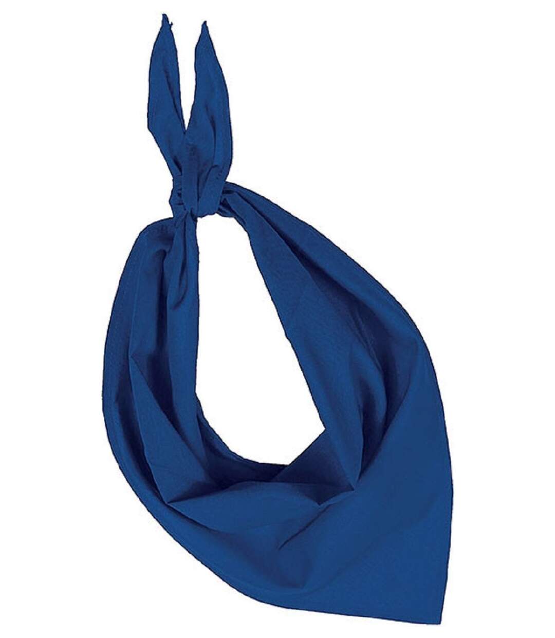 Lot de 10 bandanas fiesta - bleu roi