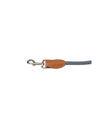 Laisse Corde Pour Chien Multi-Positions 250cm Gris