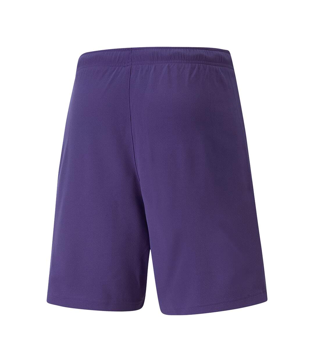 Short De Jogging Teamrise Homme Violet Clair Puma-2