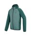 Veste Hybride Andreson Homme Bleu Clair Vert Sarcelle Regatta-4