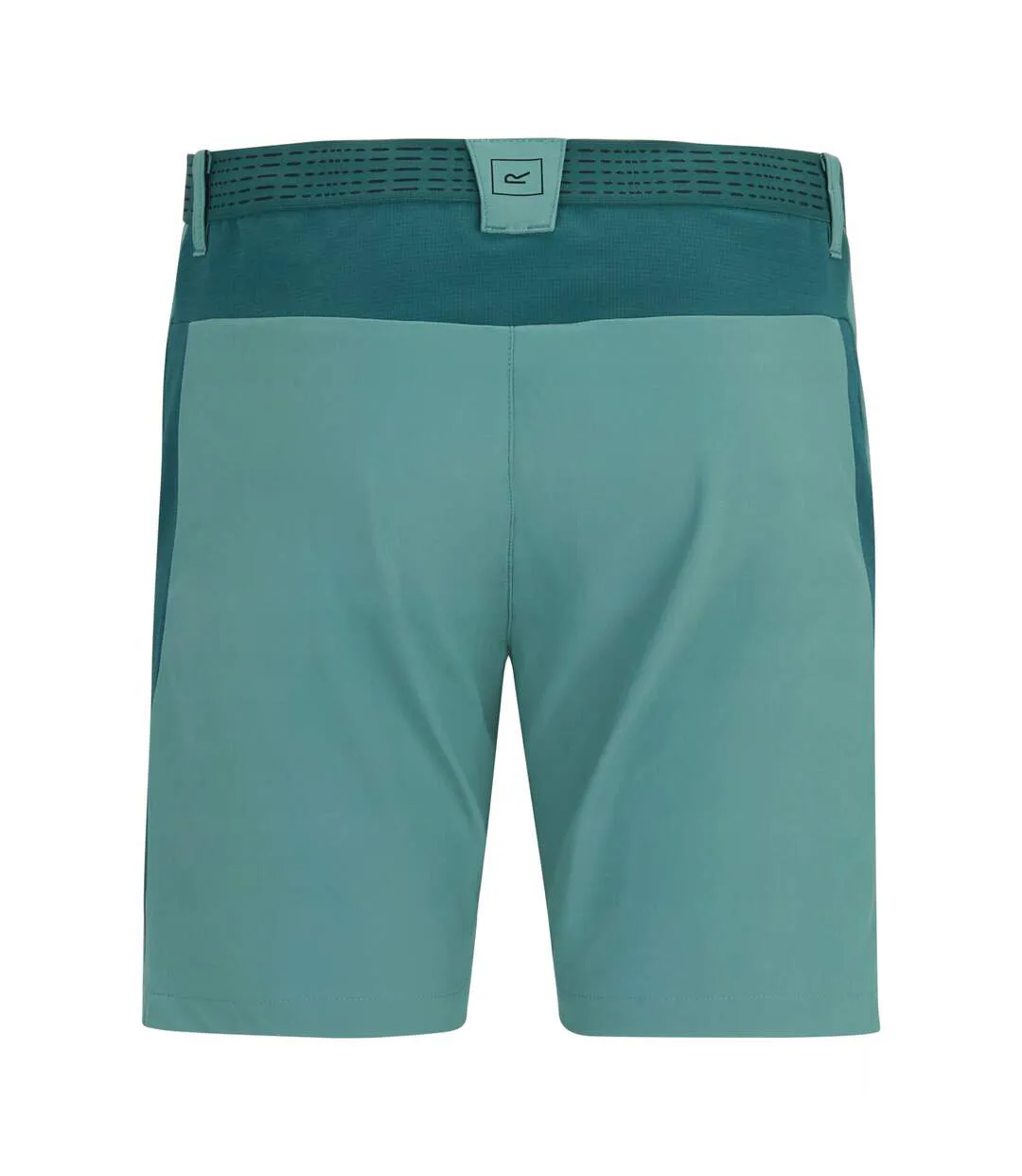Short Uni À Taille Semi-élastiquée Mountain Homme Turquoise Vert Sarcelle Regatta-2
