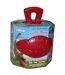 Dual jolly ball 8 inches red Jolly Pets