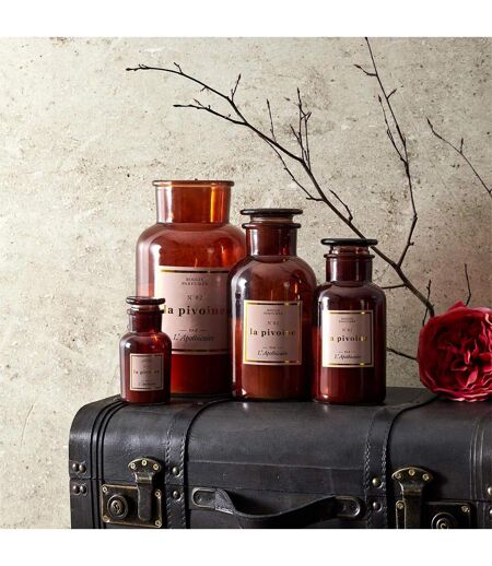 Bougie Parfumée Déco Apo Chic 1400g Pivoine