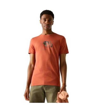 Mens Breezed Mountain Flow T-shirt Brick Regatta