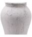 Hill Interiors Bloomville Ginger Jar (Stone) (One Size) - UTHI4265