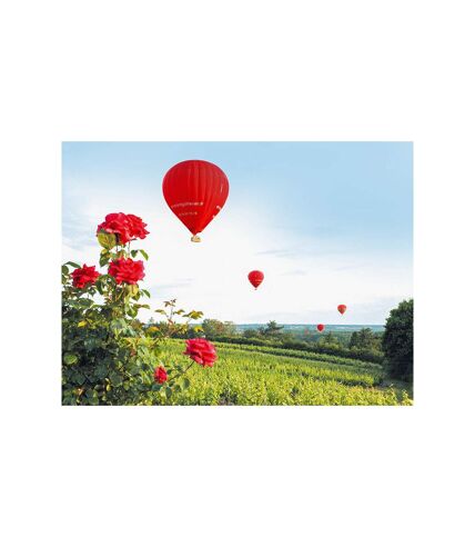 Vol en montgolfière au-dessus du château de Chaumont-sur-Loire - SMARTBOX - Coffret Cadeau Sport & Aventure