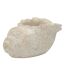 Vase Design Effet Sable Shell 35cm Beige-1