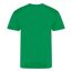 T-shirt the adulte vert Awdis-2