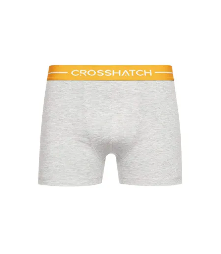 Lot De 11  Boxers Astral Homme Gris Crosshatch