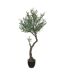 Plante Artificielle en Pot Olivier 140cm Vert & Noir-1