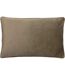 Paoletti Python Throw Pillow Cover (Champagne/Black) (One Size)