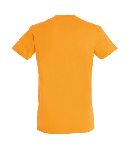 SOLS Mens Regent Short Sleeve T-Shirt (Apricot) - UTPC288
