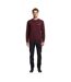 Mens Logo Crew Neck Jumper Burgundy Lacoste-1
