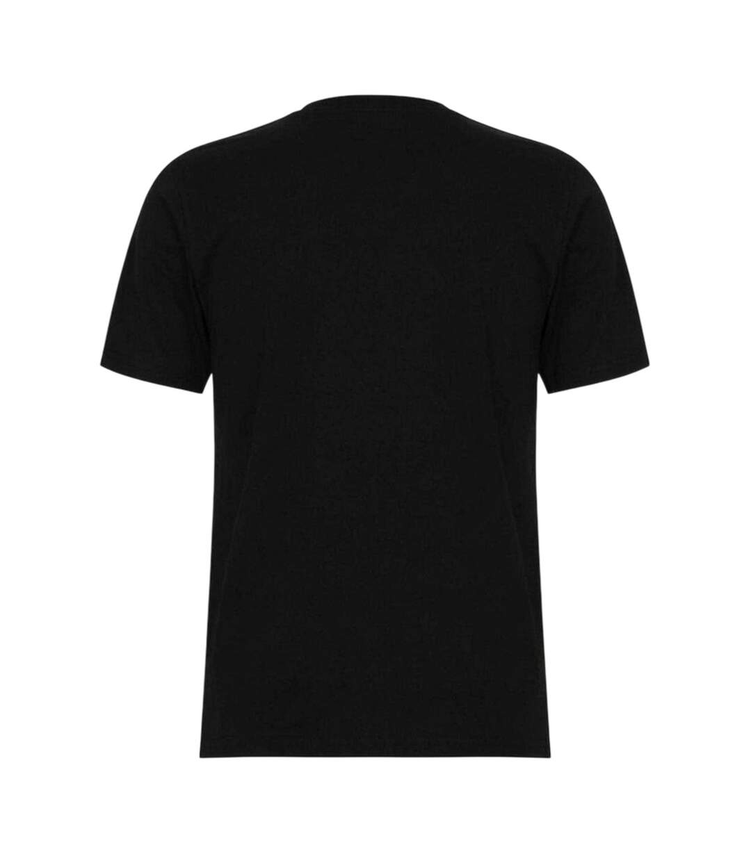T-shirt Motif/style Icône Homme Noir Dickies-2
