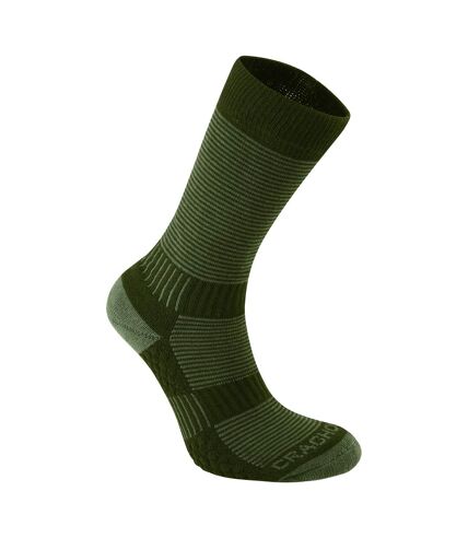 Mens temperature control socks lime/khaki green Craghoppers