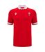 Womens/ladies 2024 Rugby Home Shirt Red White Wales RU-2