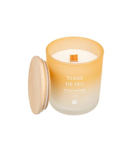 Bougie Parfumée en Verre Sana 255g Terre de Feu