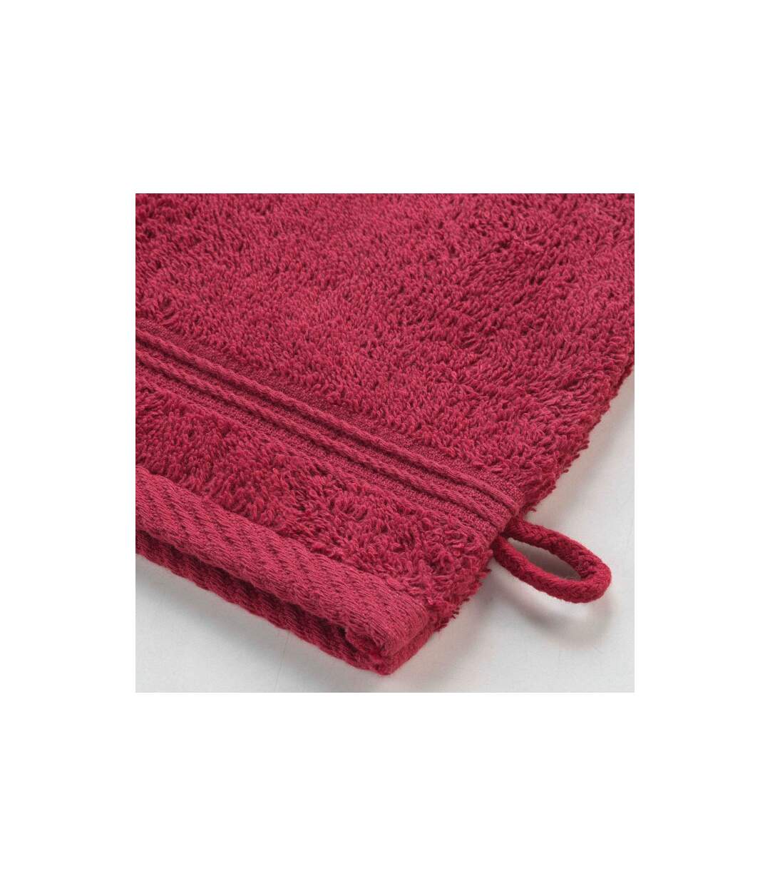 Lot de 2 Gants de Toilette Tendresse 15x21cm Rubis