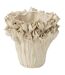 Vase Déco en Grès Ambrosia 19cm Blanc-1